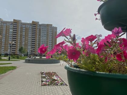 Тамбовчанам обещают дождливые выходные