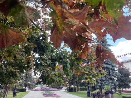 В Тамбовский области более 6,8 тысячи родителей детей с инвалидностью досрочно вышли на пенсию