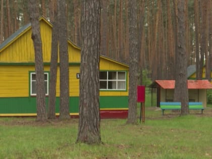 Роспотребнадзор проверил 203 лагеря с начала летней оздоровительной кампании