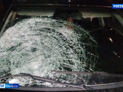 В Ржаксинском районе водитель сбил школьницу и скрылся с места ДТП: девочка погибла