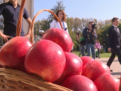 Мичуринск отмечает «День садовода – 2023»