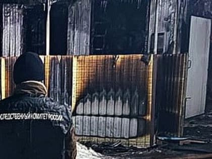 Пожилая супружеская пара погибла в пожаре под Тамбовом