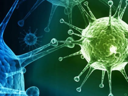 В Роспотребнадзоре сообщили о росте заболеваемости штаммом «стелс-омикрон» в России