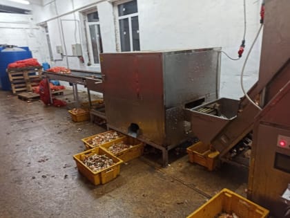 За покушение на убийство напарника в Тамбовской области осудили жителя Воронежской области