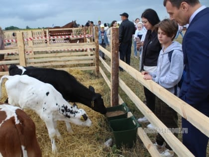 Житель Сампурского округа похитил с областной выставки несколько кубометров досок