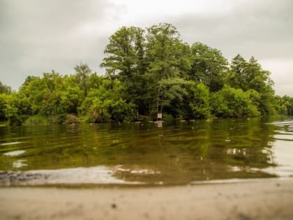 Двое мужчин утонули в Тамбовской области
