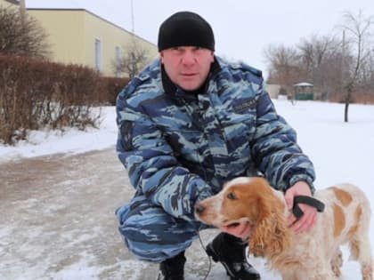 Спаниель Акинава помог найти полицейским Тамбовской области 10 кг наркотика