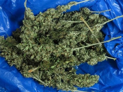 Жителя Петровского округа осудили на 9 лет колонии за незаконный оборот наркотиков