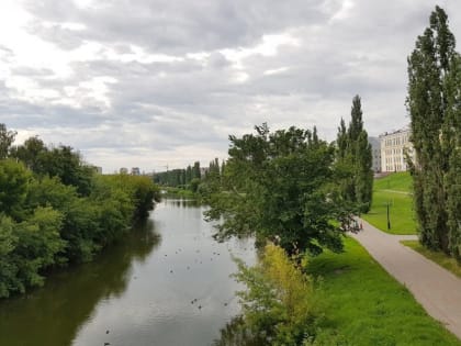 В Тамбове ожидается прохладная и дождливая погода