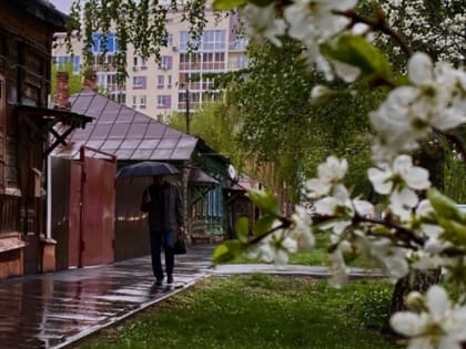 В Тамбове потеплеет до +20 градусов