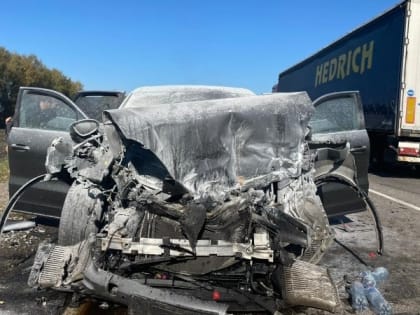 На дорогах Сампурского округа в ДТП погибли пять человек