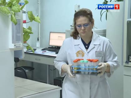 Пестициды в тамбовском сырье — под контролем специалистов Центра оценки качества зерна