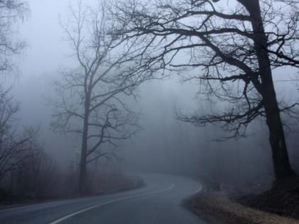 На Тамбовскую область надвигается туман