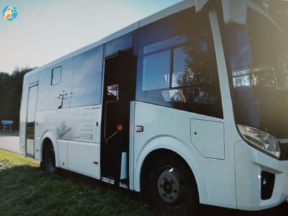 Под Рассказовом столкнулись автобус и машина