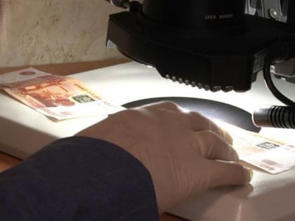 Житель Мичуринска пытался заплатить полицейским за освобождение родственников