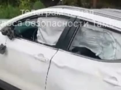 В Сосновском округе лось перепрыгнул через «Ниссан»