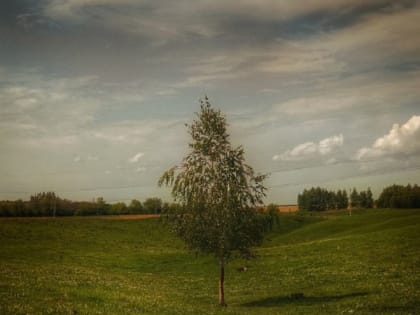 В выходные в Тамбове ожидаются дожди