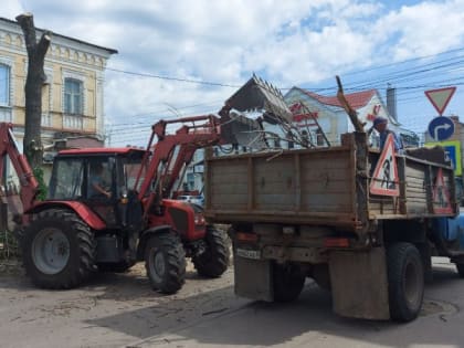 Аварийным и поражённым златкой деревьям на улицах Тамбова не место