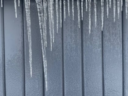 В Тамбове зимние морозы сменятся весенним потеплением