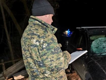 Пьяный водитель насмерть сбил школьницу в Тамбовской области и скрылся с места ДТП