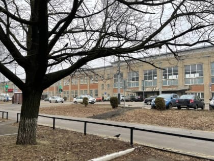 В Тамбове снова потепление