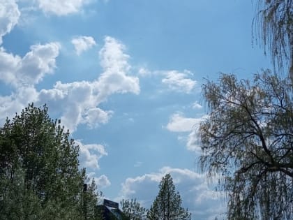 На этой неделе в Тамбове ожидается летняя погода