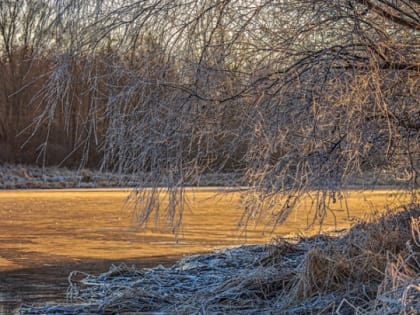 Из-за аномальных морозов коммунальщики Тамбовской области перешли на усиленный режим работы