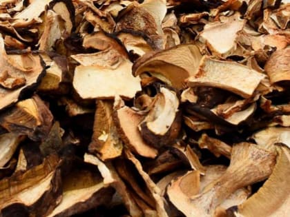 Врач рассказала об опасности употребления грибов в качестве лекарства