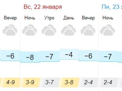 Пасмурно и морозно: погода на выходных в Тамбовской области