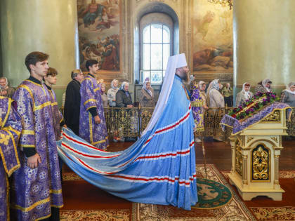 Новые инициативы в области экологии: шаги к устойчивому будущему