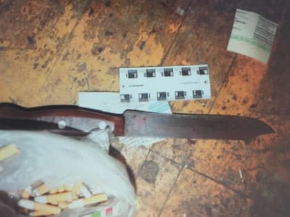 В Мичуринске заключен под стражу мужчина, подозреваемый в покушении на убийство приятеля