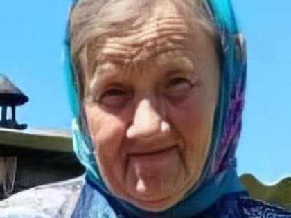 В Тамбовской области ищут заблудившуюся в лесу 84-летнюю женщину