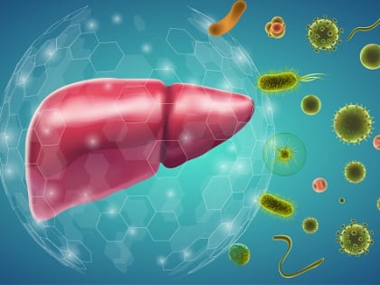 Вирусный гепатит в вопросах и ответах