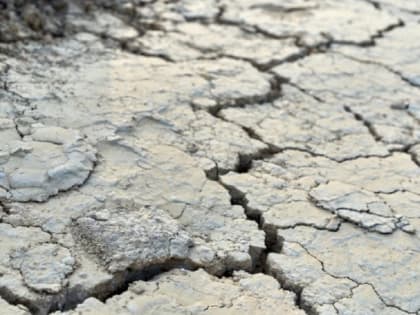 Россиян предупредили о засушливом июле