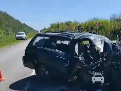 Авария в Мичуринском округе унесла жизни трёх человек