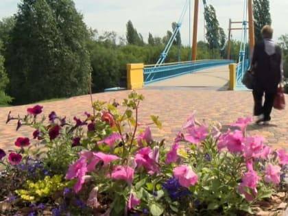 Среднемесячная зарплата в Тамбовской области выросла на 16,6 %