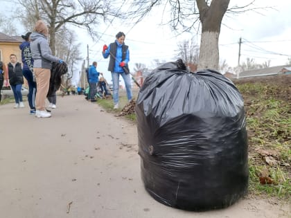 Трудовые коллективы Мичуринска помогли сделать родной город еще чище и уютнее