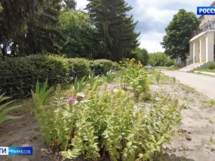 В Тамбовской области выявили холеру у иностранца