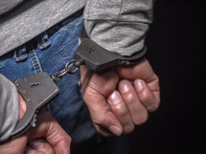 В Тамбове задержан один из подозреваемых в жестоком убийстве кота