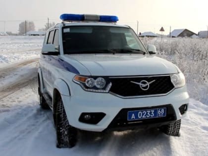 Полицейские изъяли у жителя Тамбовской области более 3 кг наркотиков