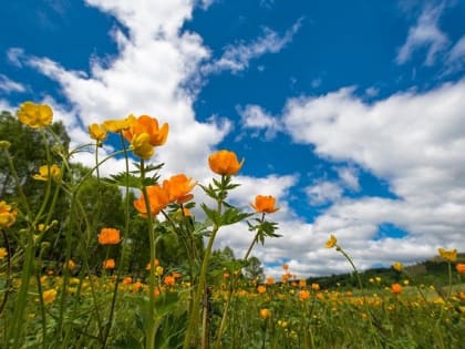 Прогноз погоды на ближайшую неделю