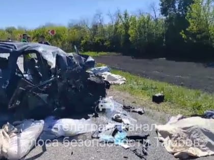 В Тамбовской области в ДТП погибли три человека и ещё четыре пострадали