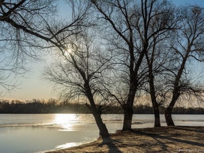 В Тамбове на этой неделе ожидается до +15 градусов