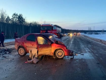 Два человека погибли и еще шестеро пострадали в ДТП на трассе в Знаменском округе
