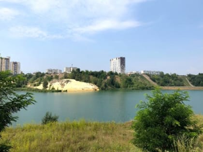 Тамбовчан атакуют неизвестные насекомые