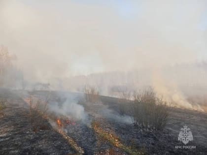 В селе Селезни загорелась сухая трава
