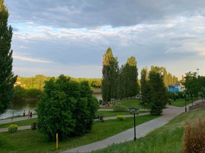 Изнуряющая жара в Тамбове сменится прохладой и дождями