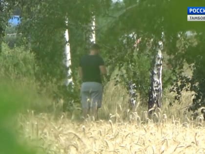 Колония строгого режима за сбыт наркотиков