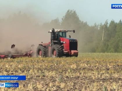 В регионе завершается пересев полей с погибшими от заморозков агрокультурами