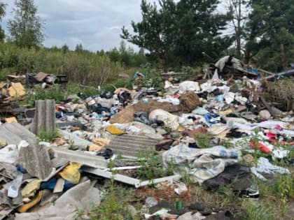 В Рассказовском округе обнаружили несанкционированную свалку